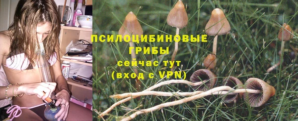apvp Сатка
