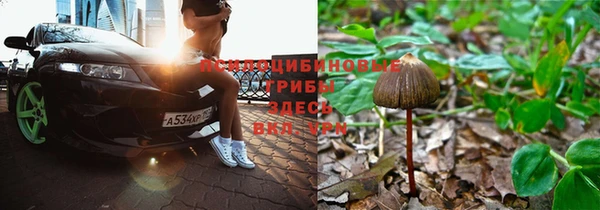 марки nbome Бородино