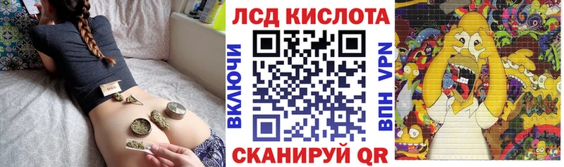 кракен вход  Губкин  Наркотические марки 1,8мг 