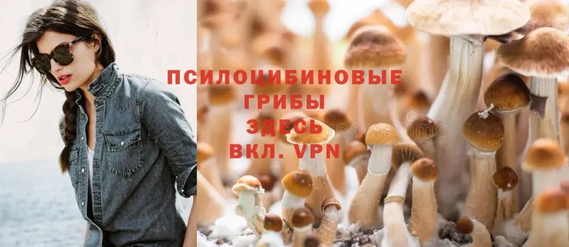 Галлюциногенные грибы MAGIC MUSHROOMS  Губкин 