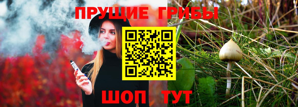 Губкин  Галлюциногенные грибы MAGIC MUSHROOMS  Вход с VPN  Псилоцибиновые грибы мухоморы 