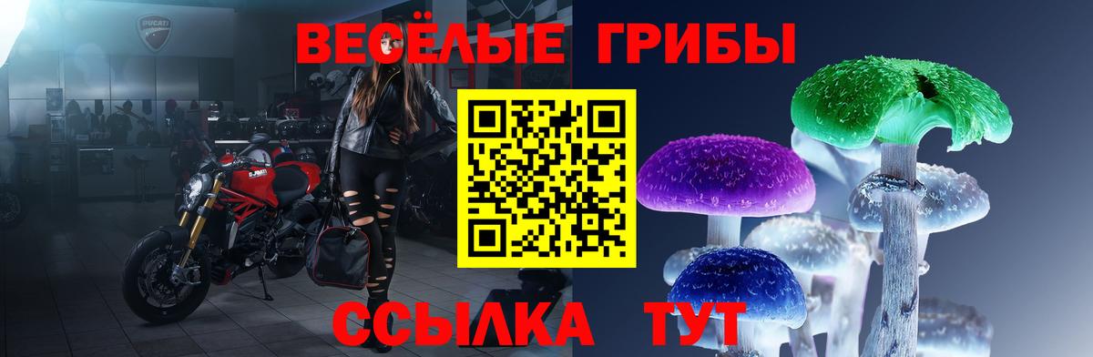 Галлюциногенные грибы Magic Shrooms Губкин